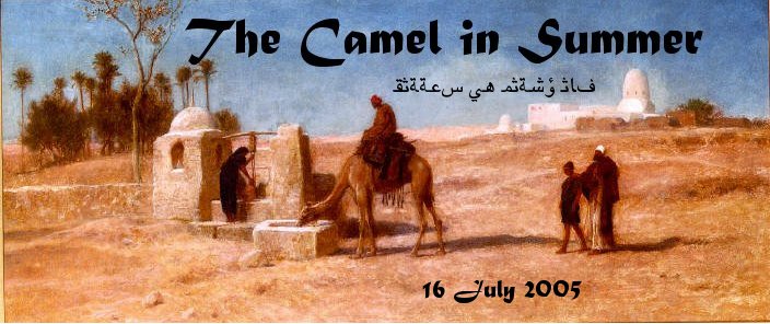 Camel in Summer